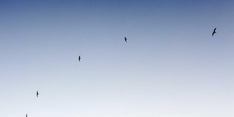 乡土文化资源在语文课程中的开发：从课文解析到校本课程建设的实践路径