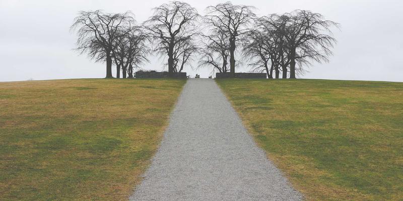 人工智能如何重塑语文教育？课文解析与在线学习的应用场景、挑战与伦理思考