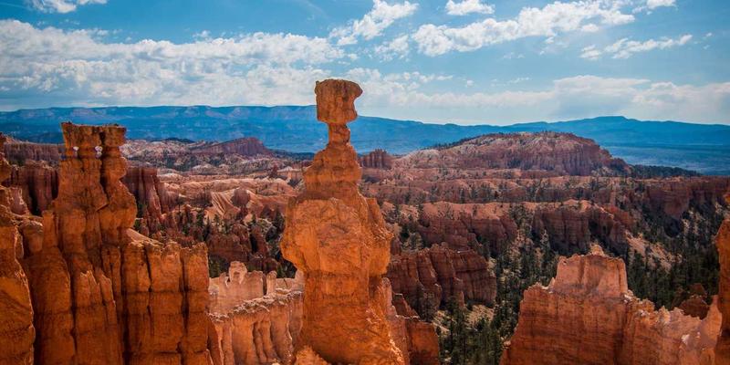 从传统课堂到数字空间：语文教育创新案例分析与未来展望