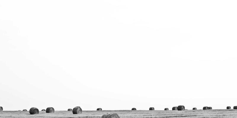 从古诗词到写作技巧：语文审美教育的实践路径与学习资源整合