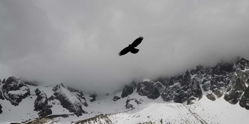 从课文解析到古诗词鉴赏：中学语文作文教学中的思维训练策略