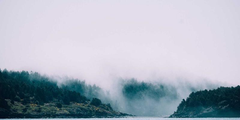 在线学习时代，如何将中华优秀传统文化体系化融入中小学语文课程？