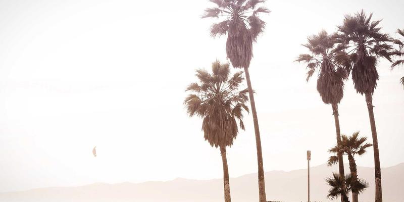 在线学习时代，如何通过课文解析与古诗词教学实现审美鉴赏与创造？