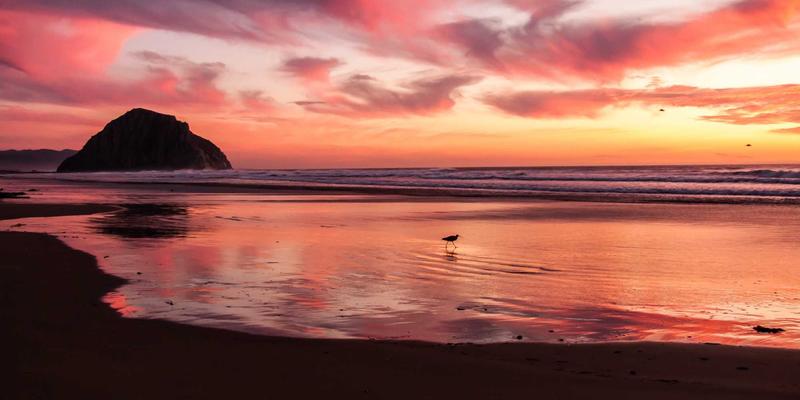 整本书阅读指导策略研究：以经典名著为例的课文解析与深度阅读方法