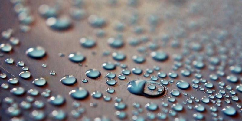 新媒体时代如何以语言文化为基石，借古诗词之力培养中学生批判性阅读能力