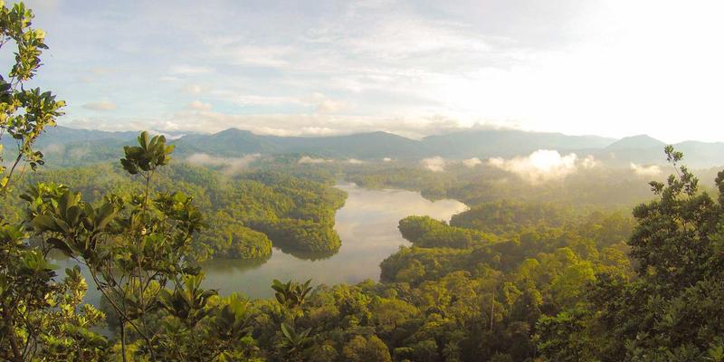 语文教育72：解锁写作技巧、课文解析与古诗词鉴赏的三大核心能力