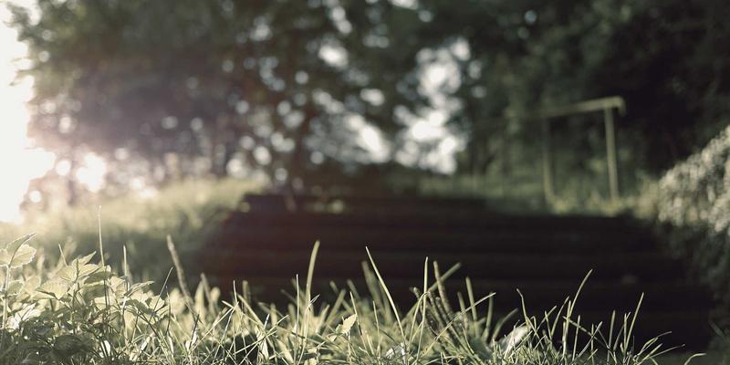 语文教育中的审美教育实施路径：从课文解析到学习资源整合