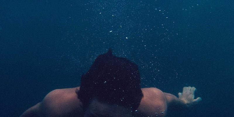 语文教育入门：掌握核心资源、写作方法与课文精读之道