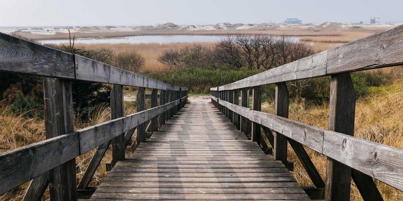 语文教育新篇章：在线学习如何让古诗词“活”起来