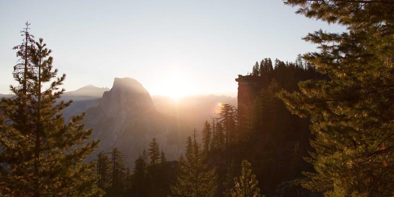 语言文化浸润与学习资源整合：古诗词整本书阅读教学的阶梯搭建