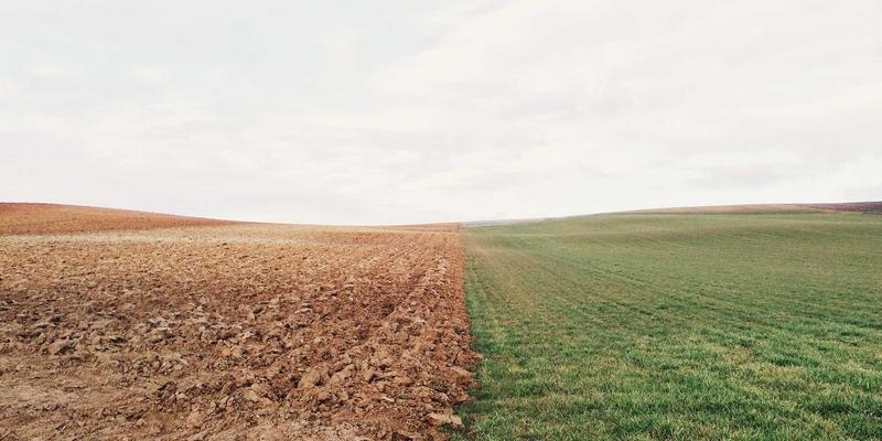 课文解析与古诗词鉴赏：语文教育中批判性思维的培养路径探索