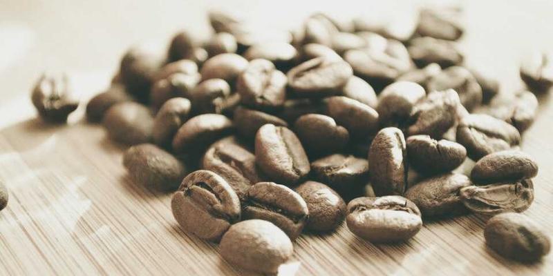 非连续性文本阅读能力培养：在信息时代提升学生的语文实用技能